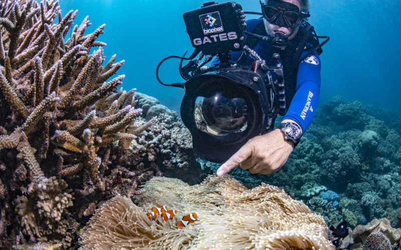 Blancpain Biopixel Taucher fotografgiert zwei Clownfische in einer Seeanemone