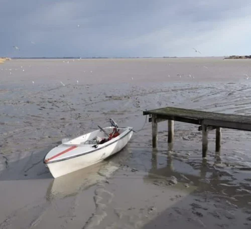 Historisches Tief – der Wasserstand im Neusiedler See bereitet Sorgen