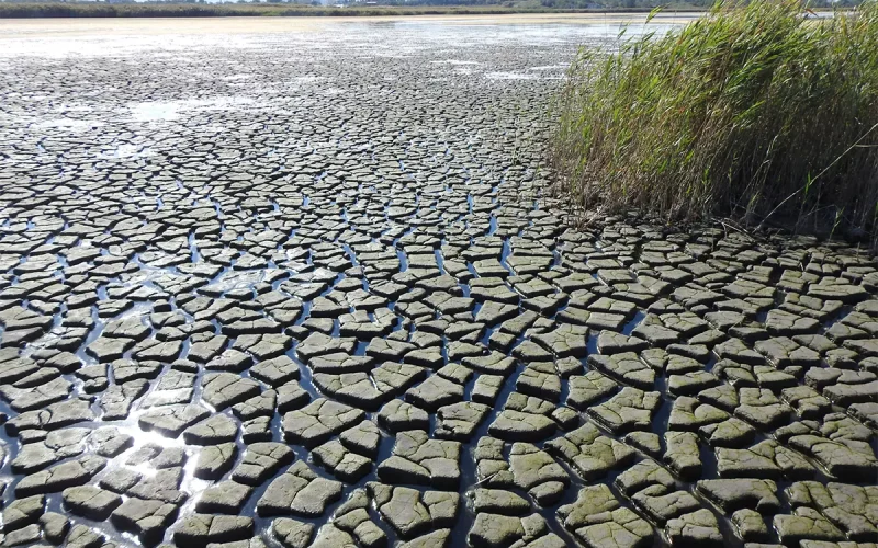 Der Wasserstand des Neusiedler Sees ist auf einem Rekordtief