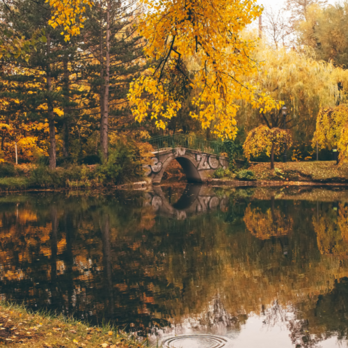 6 spannende Aktivitäten und Ausflugsziele beim Wasser für den Herbst