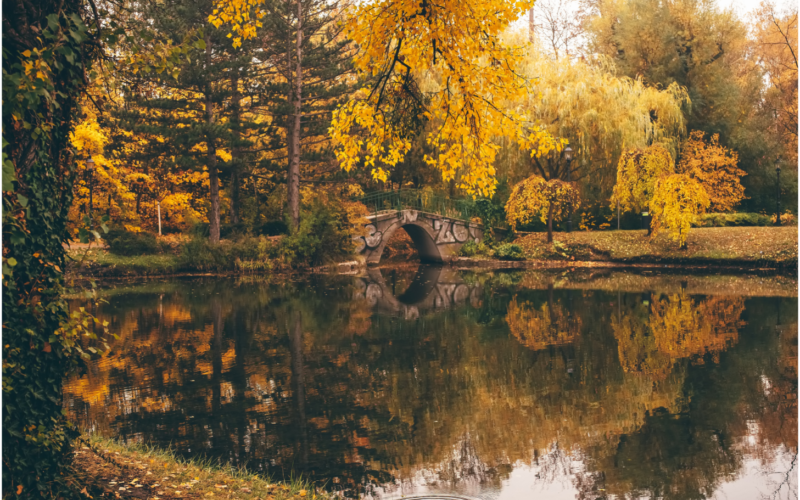 Herbst in Wien