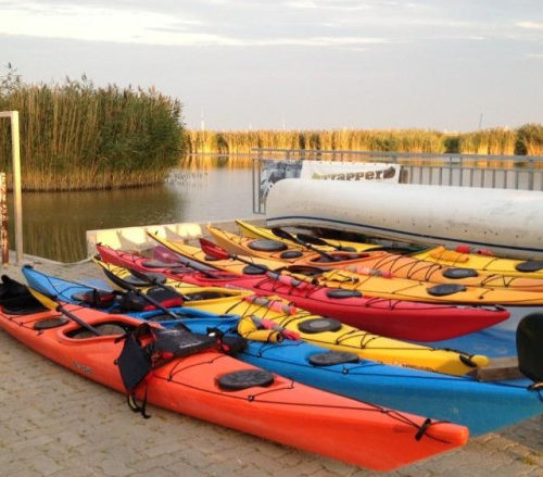 Seekajak Schnupperpaddeln am Neusiedler See