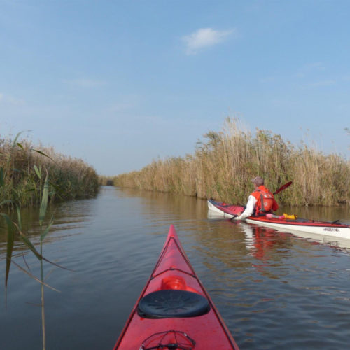 Seekajak-Tour am Neusiedler See