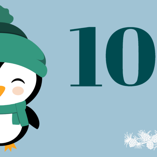 Adventkalender Türchen 10 – Die meisten Seilsprünge unter Wasser