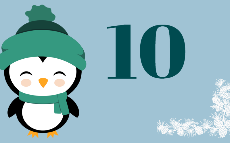 Adventkalender Türchen 10 – Die meisten Seilsprünge unter Wasser