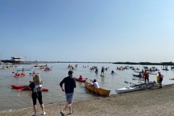 „No Time to Waste!“ – Lakemania macht auf Austrocknung des Neusiedler Sees aufmerksam