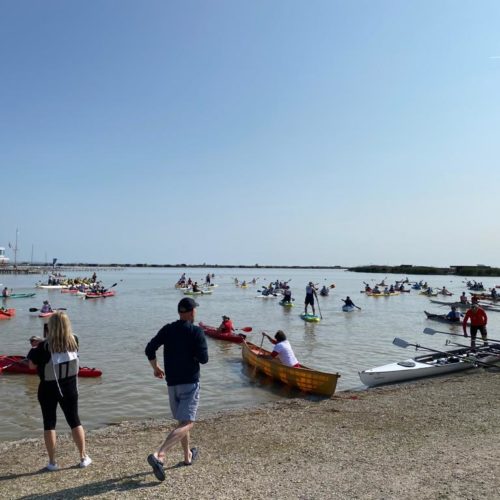 „No Time to Waste!“ – Lakemania macht auf Austrocknung des Neusiedler Sees aufmerksam