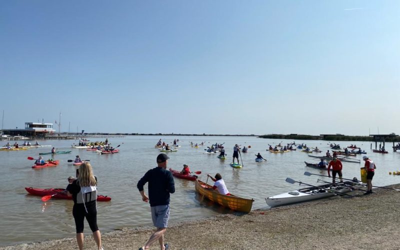 „No Time to Waste!“ – Lakemania macht auf Austrocknung des Neusiedler Sees aufmerksam