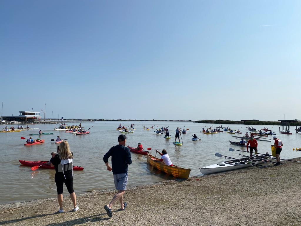 „No Time to Waste!“ – Lakemania macht auf Austrocknung des Neusiedler Sees aufmerksam