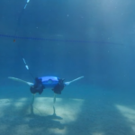 Schildkröten-Roboter soll bei Überwachung von Küstenökosystemen helfen
