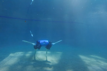 Schildkröten-Roboter soll bei Überwachung von Küstenökosystemen helfen