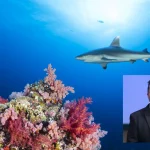 World Ocean Day: Weltrekordtaucher Chris Redl über Ängste und Meeresschutz und GEWINNSPIEL